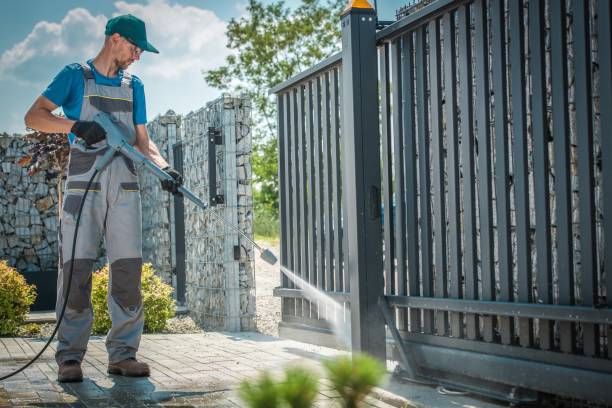 Best Roof Cleaning and Mildew Removal in Woodville, WI