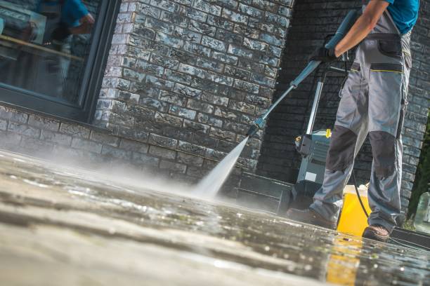 Best Soft Washing for Delicate Surfaces in Woodville, WI