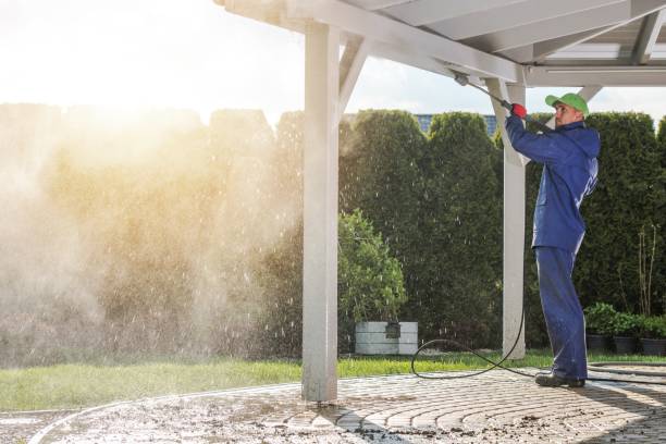 Best Graffiti Removal Services in Woodville, WI