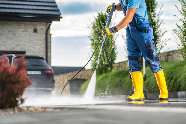 Best Window and Screen Pressure Cleaning in Woodville, WI